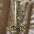 Ruokinta Ring Pull Click medium siemenille
